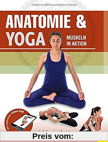 Anatomie & Yoga: Muskeln in Aktion